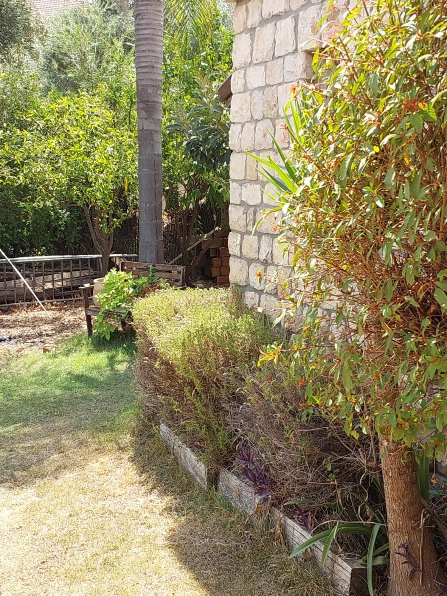 Neve Nof Rosh Pinna Quarto foto