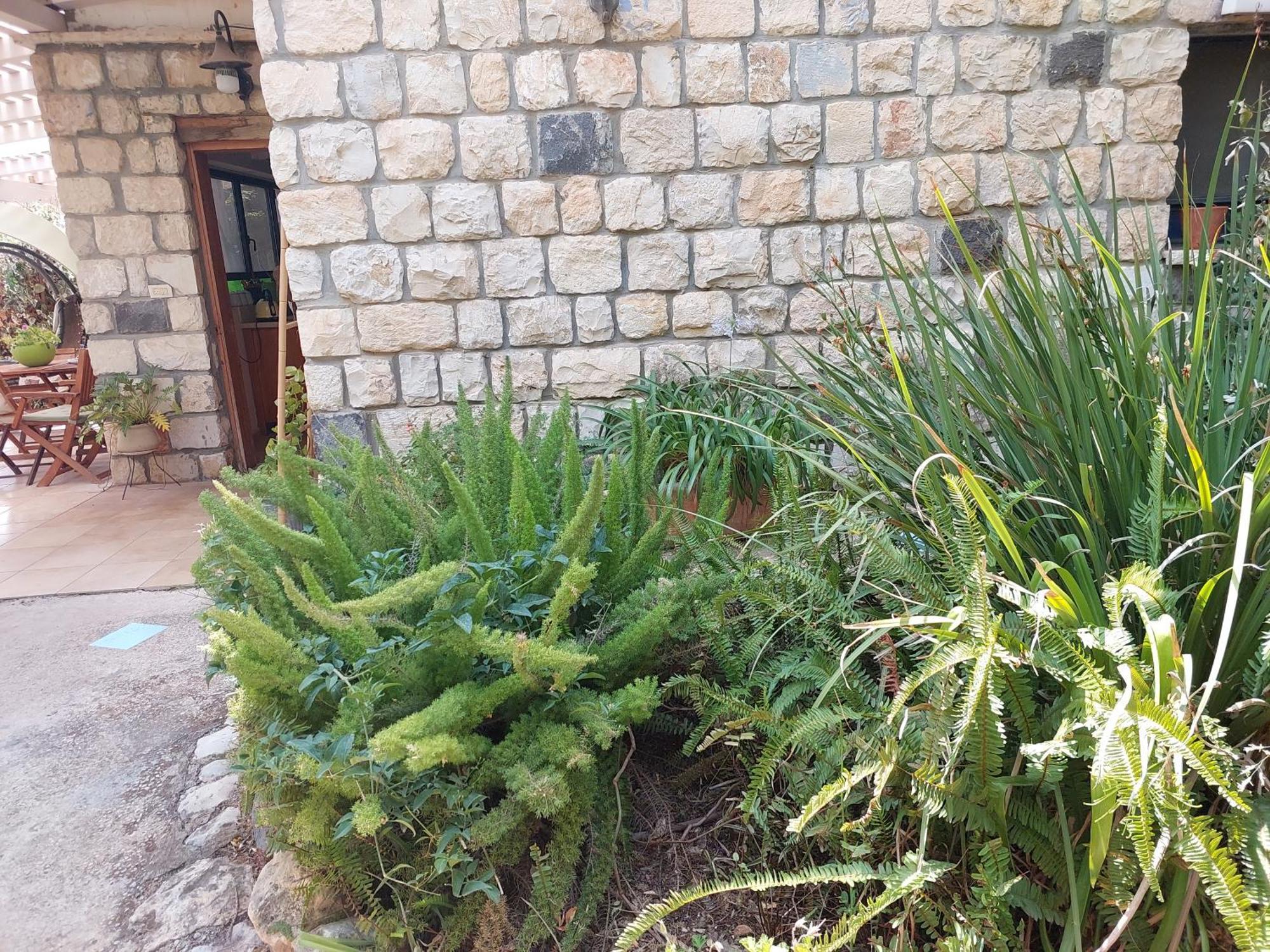 Neve Nof Rosh Pinna Quarto foto